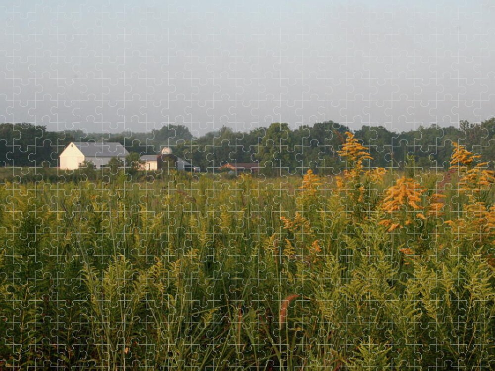 Goldenrod Grove Jigsaw Puzzle featuring the photograph Goldenrod Grove by Dylan Punke