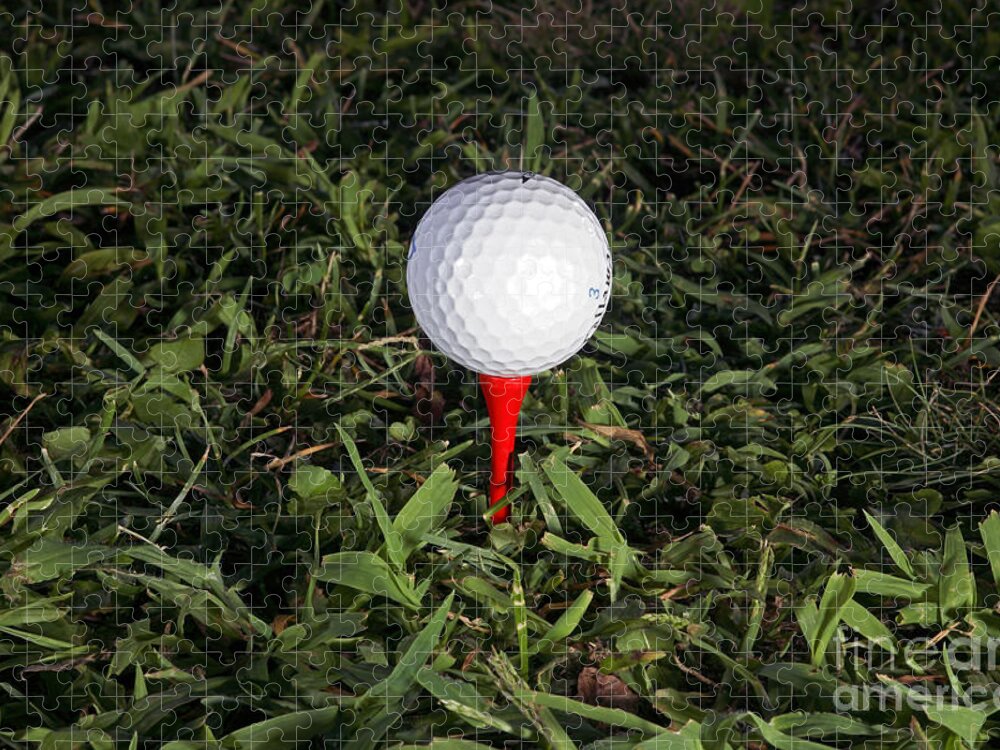 Golf Jigsaw Puzzle featuring the photograph Golf Ball by Ted Kinsman