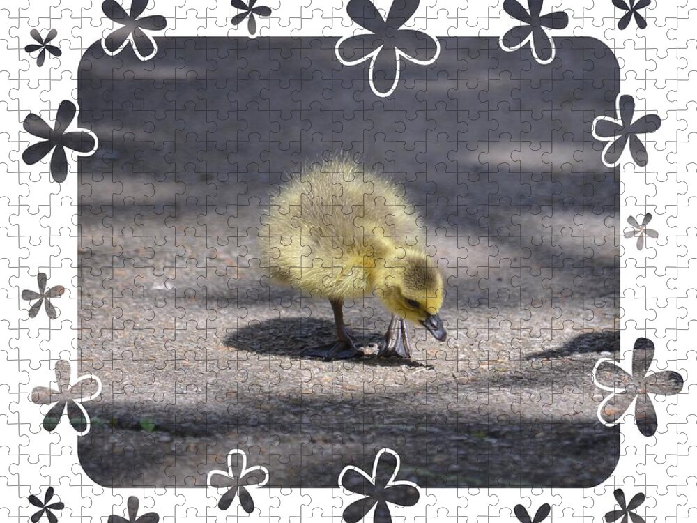 Gosling Ii Jigsaw Puzzle featuring the photograph Gosling II by Maria Urso