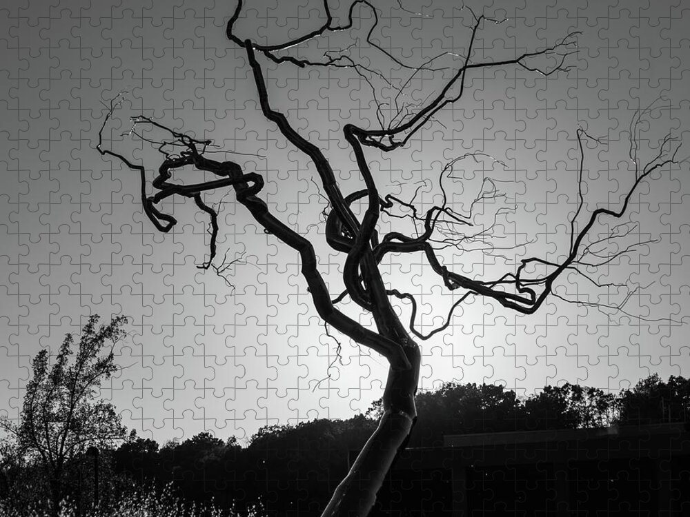 America Jigsaw Puzzle featuring the photograph Gothic Twisted Tree - Black and White by Gregory Ballos