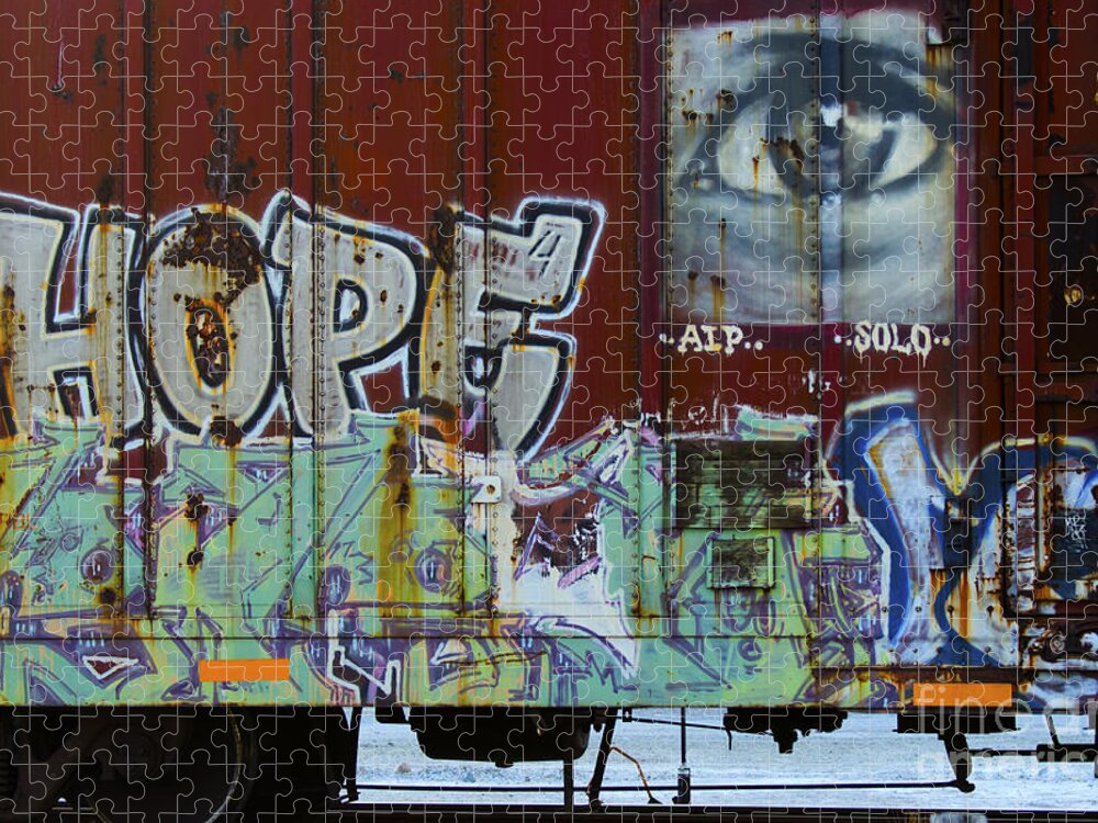 Riding The Rails Jigsaw Puzzle featuring the photograph Grafitti Art Riding The Rails 6 by Bob Christopher