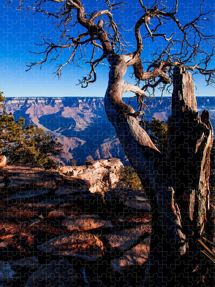 Grand Canyon National Park Jigsaw Puzzle featuring the photograph Grand Canyon 27 by Donna Corless