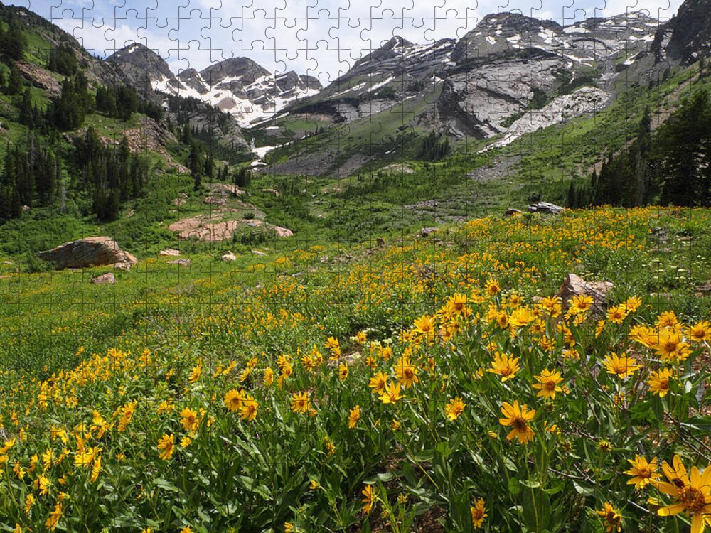 Landscape Jigsaw Puzzle featuring the photograph Grandmothers Meadow - Broads Fork by Brett Pelletier