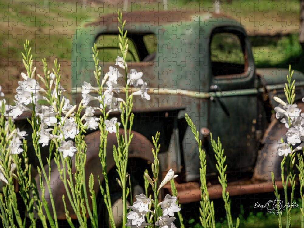 Old Truck Jigsaw Puzzle featuring the photograph Grandpa's Truck by Steph Gabler