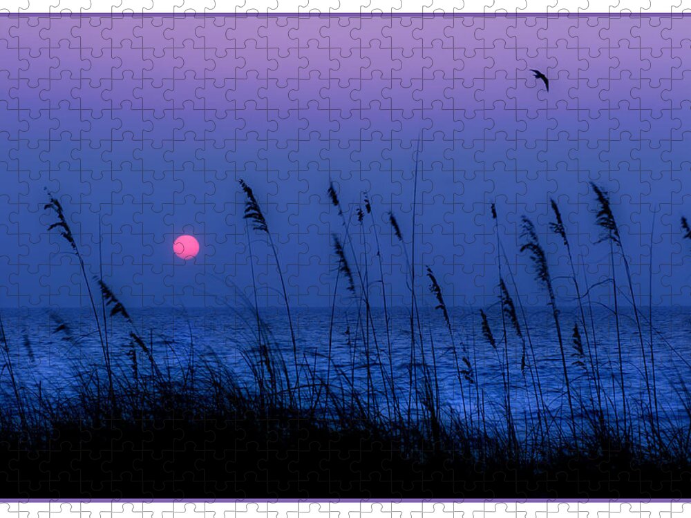  Grass Jigsaw Puzzle featuring the photograph Grasses frame the setting sun in Florida by Mal Bray