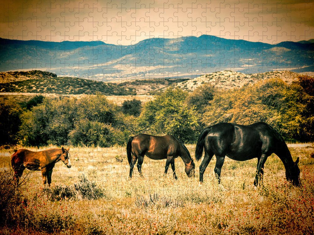 Fred Larson Jigsaw Puzzle featuring the photograph Grazing by Fred Larson