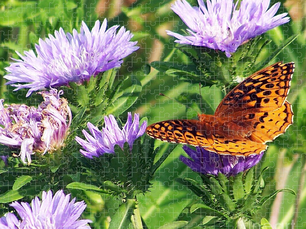 Eastern Great Spangled Fritillary Jigsaw Puzzle featuring the photograph Great Blue Star by Jennifer Robin