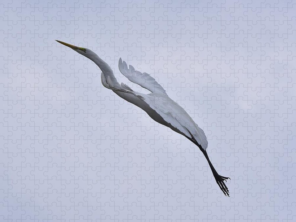 Linda Brody Jigsaw Puzzle featuring the photograph Great Egret Elegance On a Cloudy Day by Linda Brody