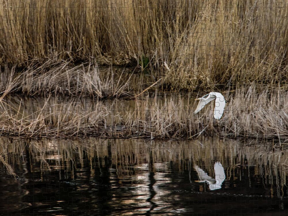 Great Egret Jigsaw Puzzle featuring the photograph Great Egret's flight to a new position by Torbjorn Swenelius