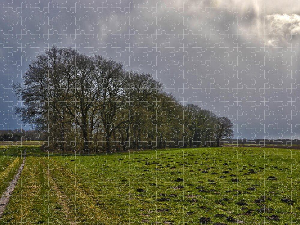 Tree Jigsaw Puzzle featuring the photograph Group Of Trees Against A Dark Sky by Frans Blok