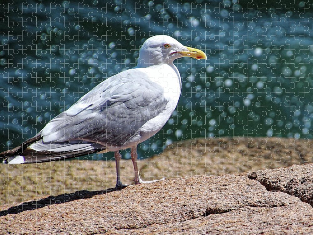 Seagull Jigsaw Puzzle featuring the photograph Gull with Spray at Sand Beach ME by Doolittle Photography and Art