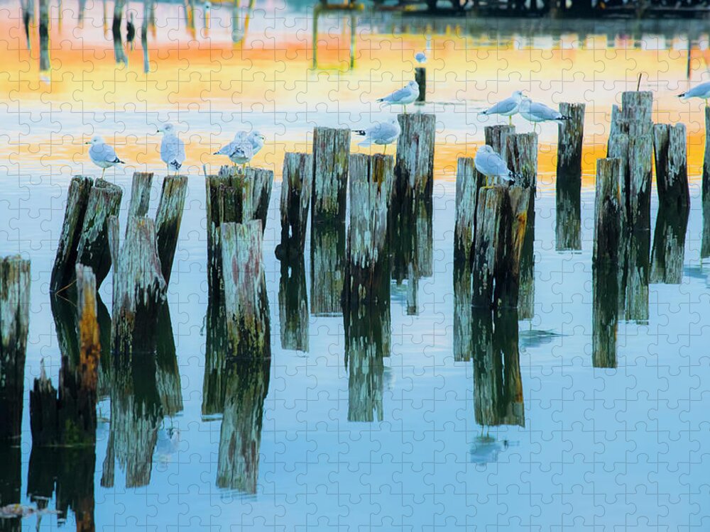 Sea Scape Jigsaw Puzzle featuring the photograph Gulls and Pilings by Jeff Cooper