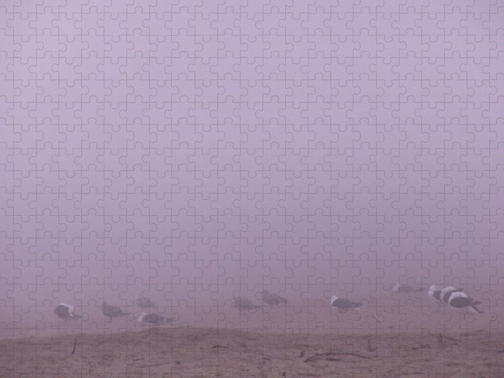 Seagulls Jigsaw Puzzle featuring the photograph Gulls in the Fog by Nancy Griswold