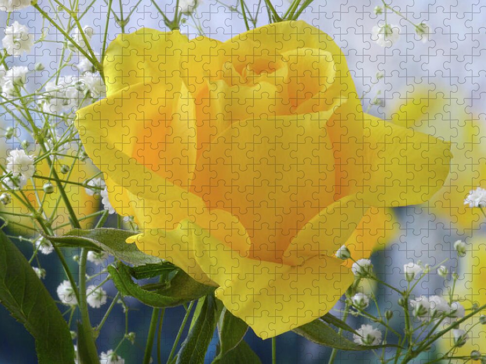 Rose Jigsaw Puzzle featuring the photograph Gypsophila And The Rose. by Terence Davis