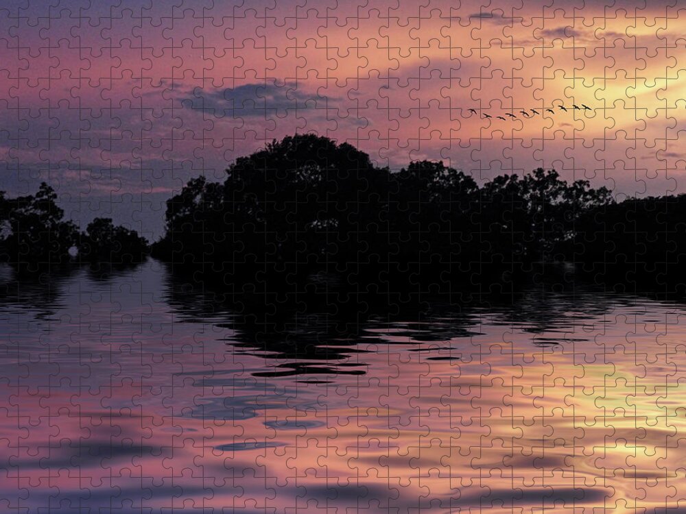 Sunset Jigsaw Puzzle featuring the photograph Sunset Flock by Jessica Jenney