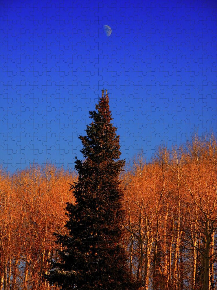 Half Moon Jigsaw Puzzle featuring the photograph Half Moon by Raymond Salani III