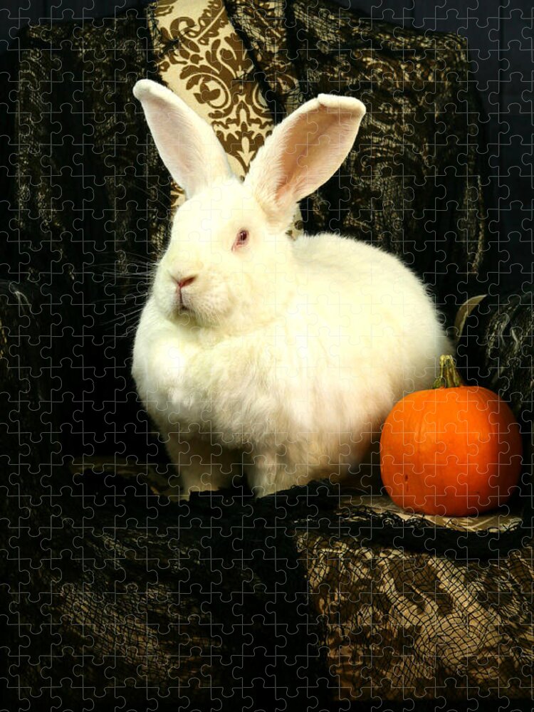 Rabbit Jigsaw Puzzle featuring the photograph Halloween Rabbit by Amanda Stadther