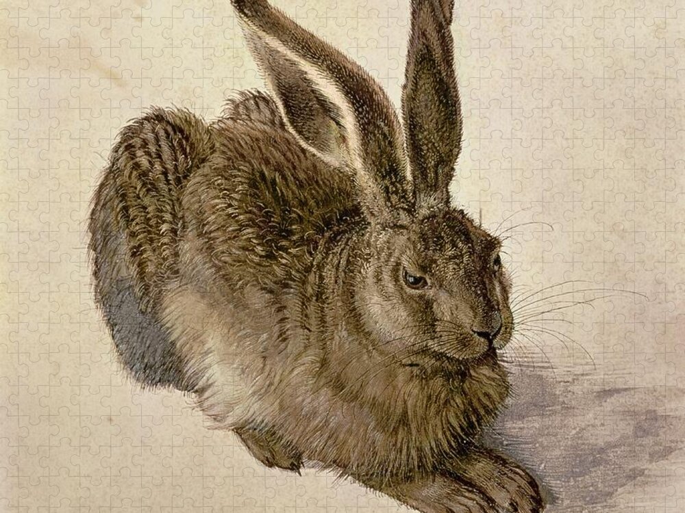 Hare Jigsaw Puzzle featuring the painting Hare by Albrecht Durer