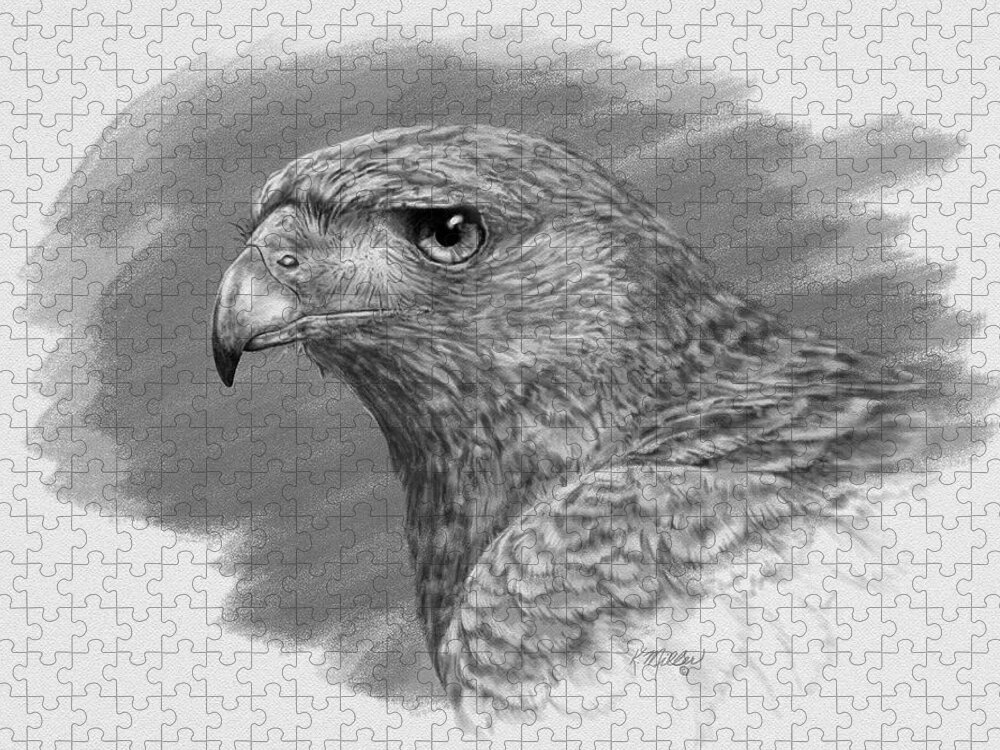 Harris Hawk Jigsaw Puzzle featuring the digital art Harris Hawk Drawing by Kathie Miller