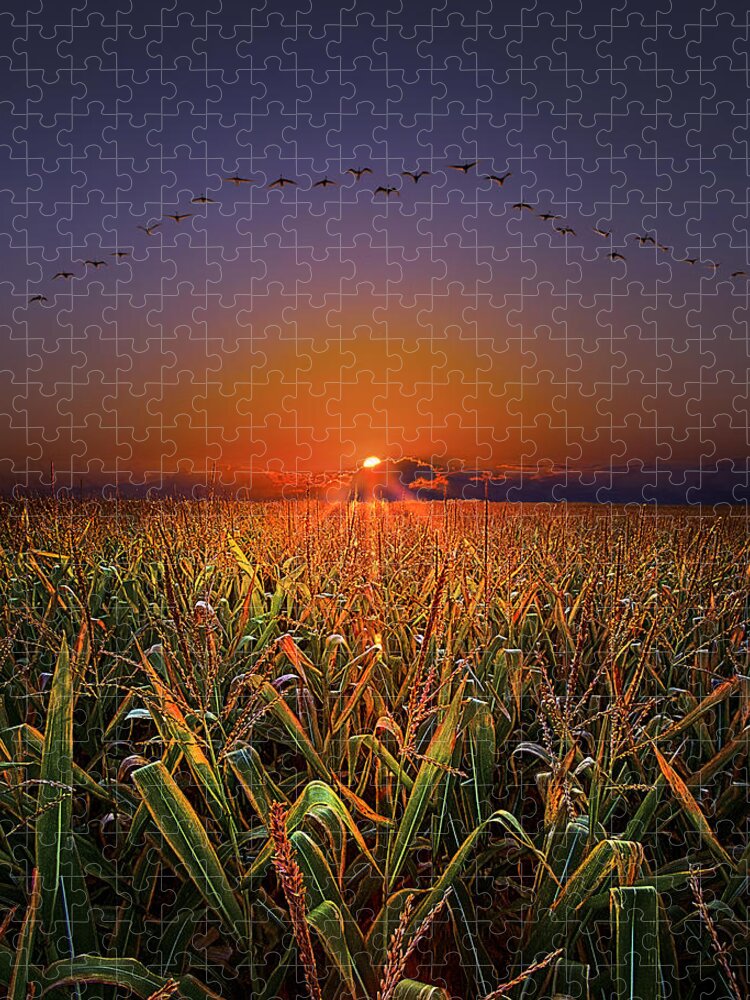 Horizons Jigsaw Puzzle featuring the photograph Harvest Migration by Phil Koch