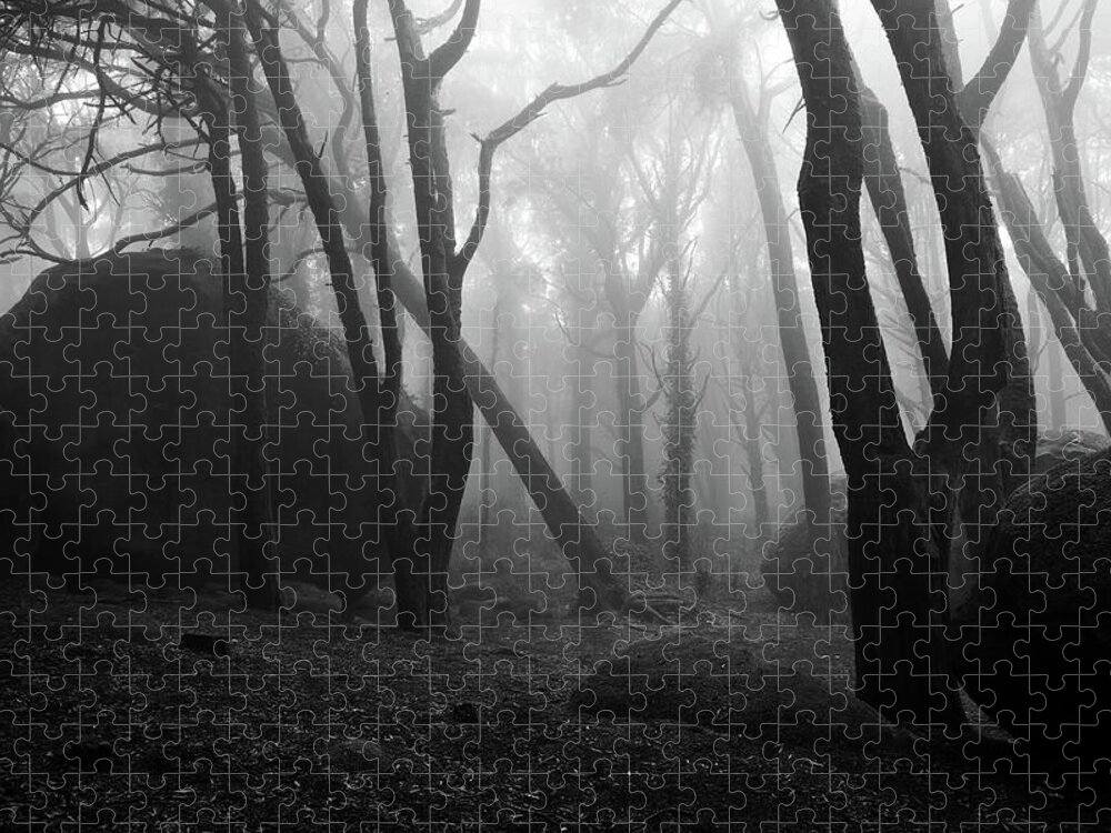 Jorgemaiaphotographer Jigsaw Puzzle featuring the photograph Haunted woods by Jorge Maia