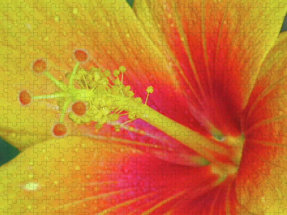Hibiscus Jigsaw Puzzle featuring the photograph Hawaiian Hibiscus - Orange 01 - Kauai, Hawaii by Pamela Critchlow