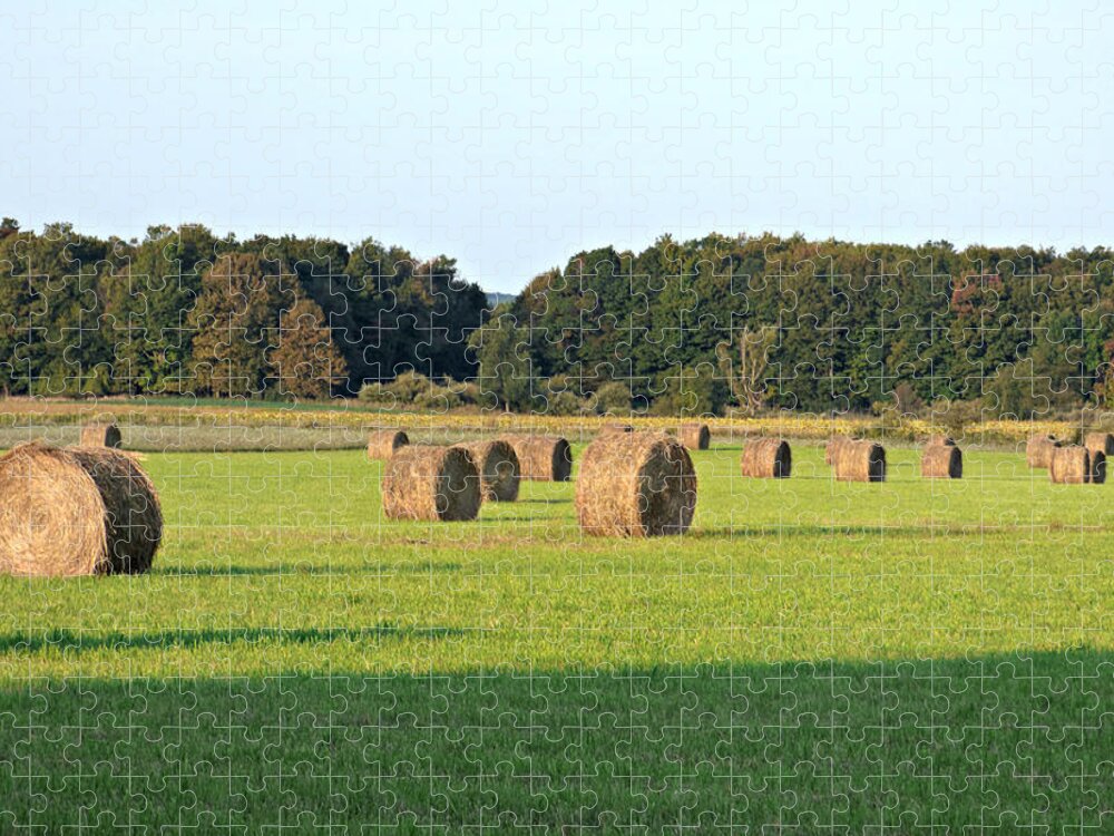 Hay Jigsaw Puzzle featuring the photograph Hay Hay Hay by Scott Ward