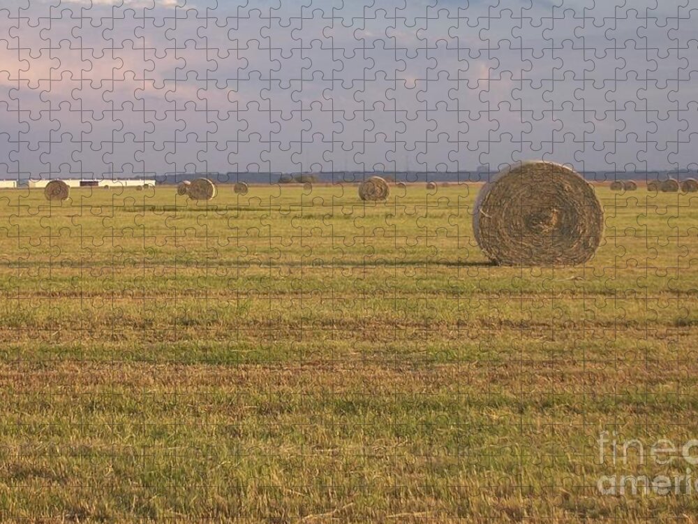  Jigsaw Puzzle featuring the photograph Hayfield Perspective by Susan Williams