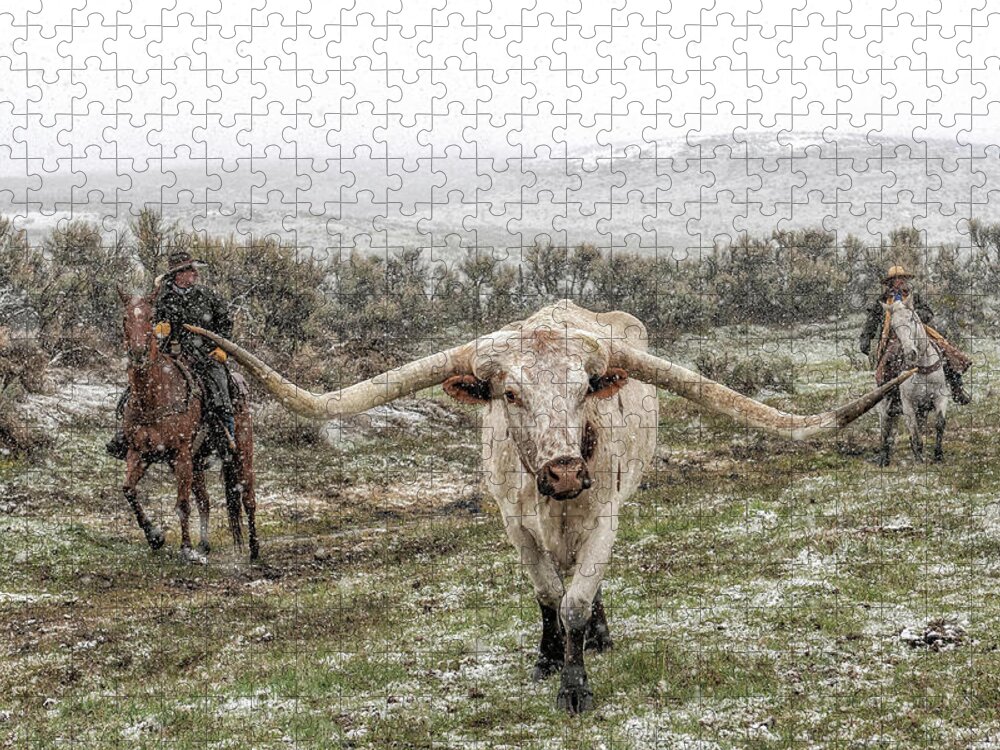 Longhorn Cattle Jigsaw Puzzle featuring the photograph Head'n Home by Pamela Steege