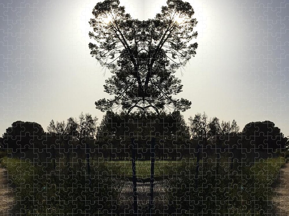 Photography Jigsaw Puzzle featuring the photograph Heart Silhouette by Nora Boghossian