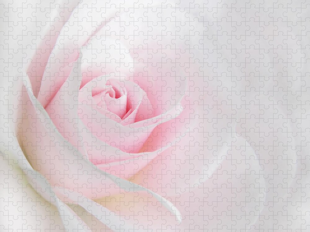 Rose Jigsaw Puzzle featuring the photograph Heaven's Light Pink Rose Flower by Jennie Marie Schell