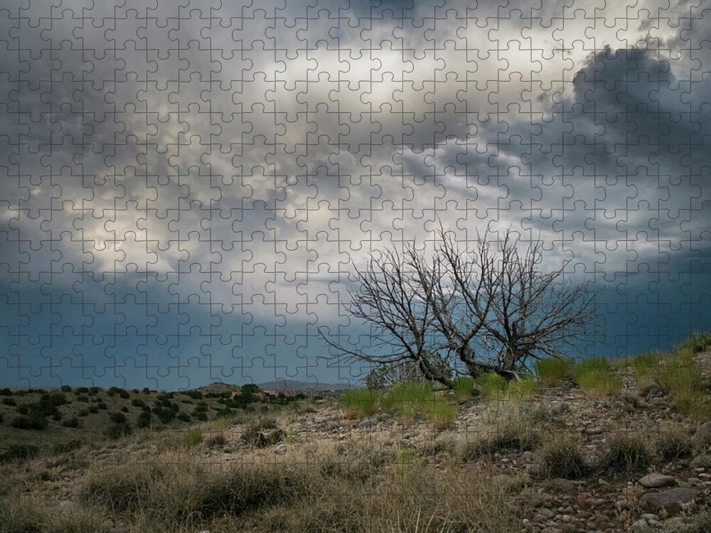 Sky Jigsaw Puzzle featuring the photograph Heavy Clouds No Rain by Mary Lee Dereske