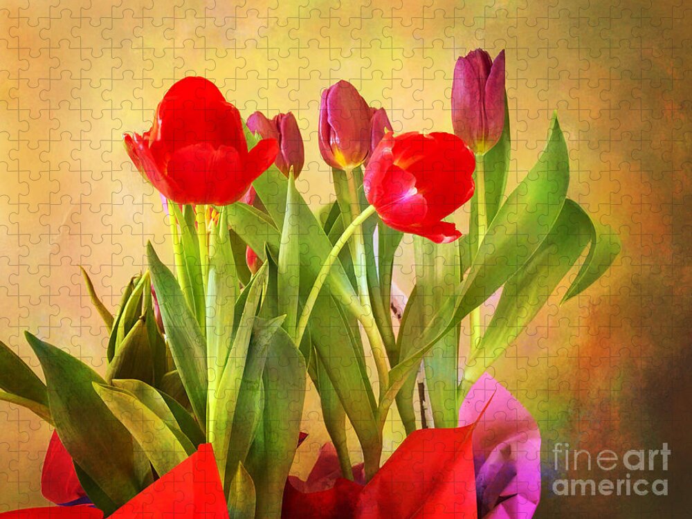 Tulips Jigsaw Puzzle featuring the photograph Hello Spring by Eleanor Abramson
