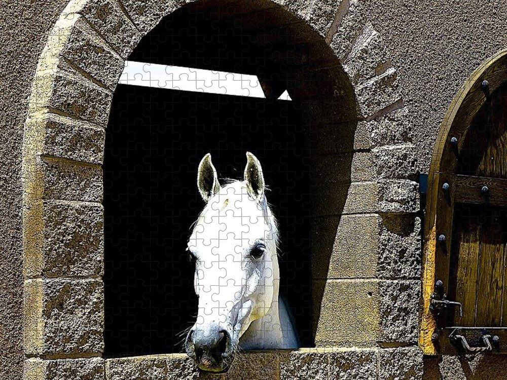 Horse Jigsaw Puzzle featuring the photograph Hello You by Barbara Zahno