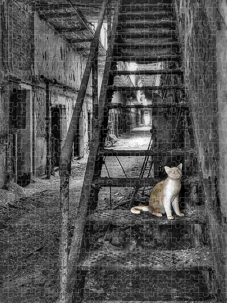 Abandoned Jigsaw Puzzle featuring the photograph Here Kitty Kitty Kitty... by Evelina Kremsdorf