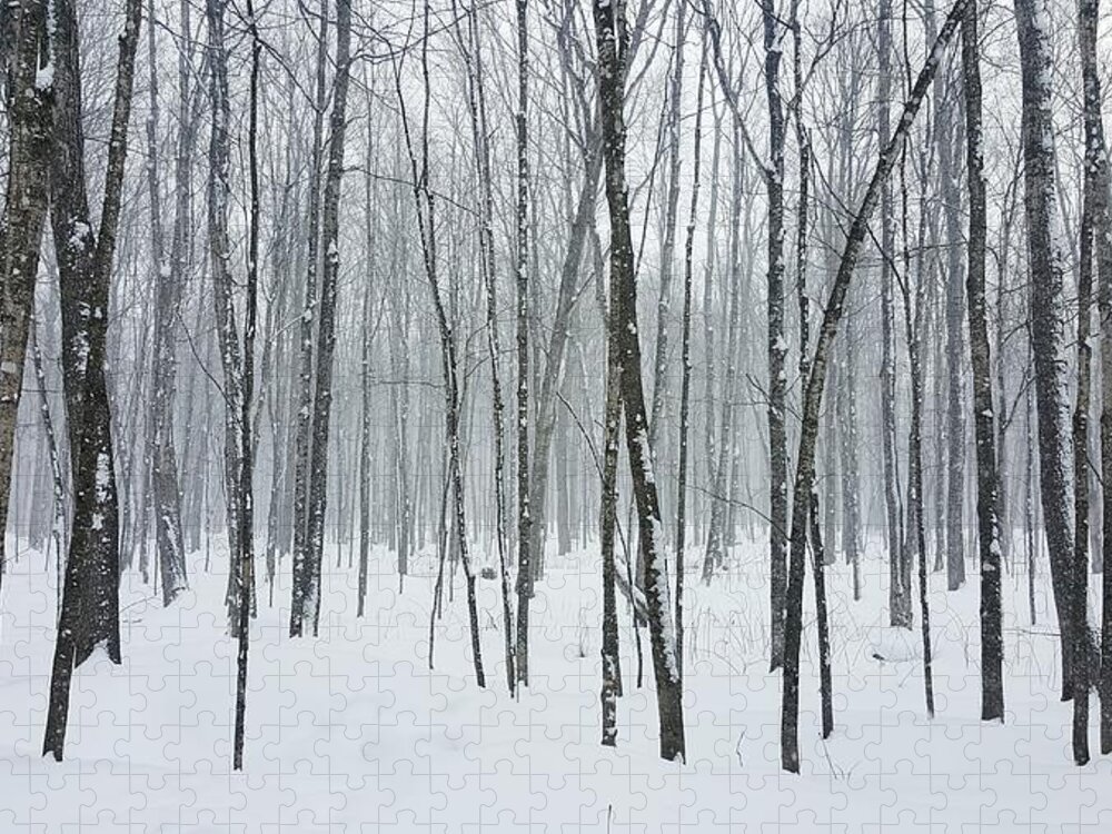 Winter Jigsaw Puzzle featuring the photograph Hiawatha Forest Snow by William Slider