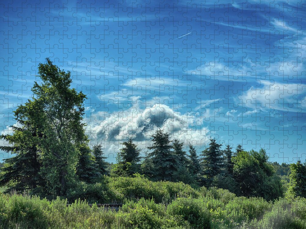 Clouds Jigsaw Puzzle featuring the photograph Hidden Rails by Guy Whiteley
