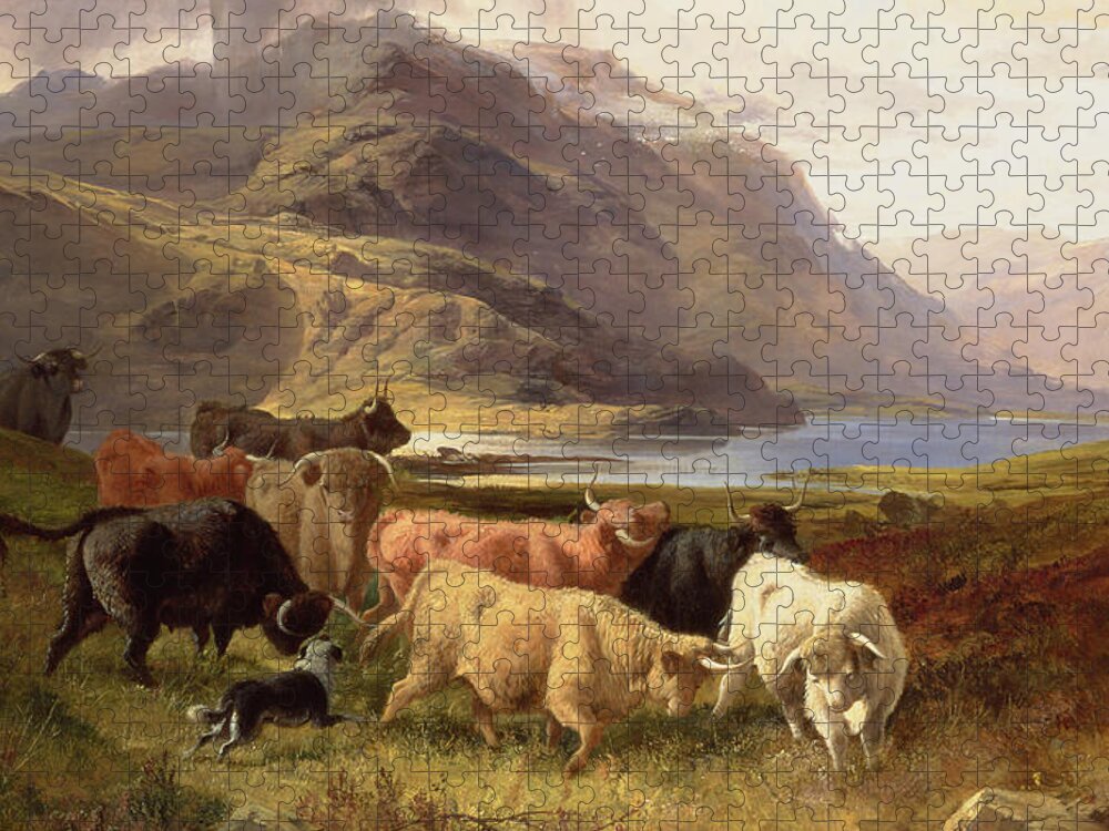 Highland Cattle With A Collie Jigsaw Puzzle featuring the painting Highland Cattle with a Collie by Joseph Adam