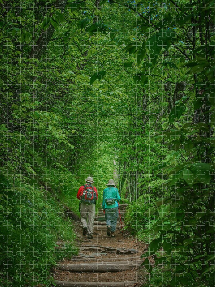 Great Smoky Mountains Jigsaw Puzzle featuring the photograph Hiking - Appalachian Trail by Nikolyn McDonald