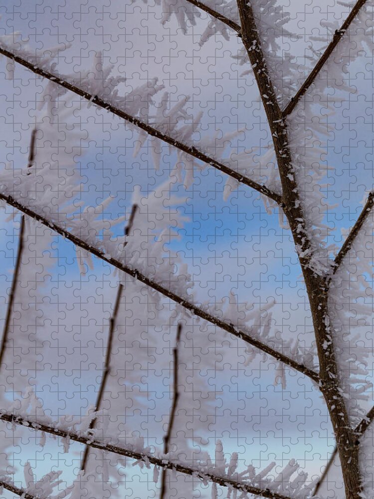 Frost Jigsaw Puzzle featuring the photograph Hoarfrost Hopscotch by Deborah Hughes