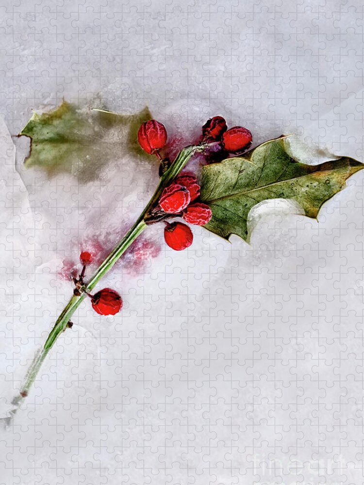 Holly Jigsaw Puzzle featuring the photograph Holly 4 by Margie Hurwich