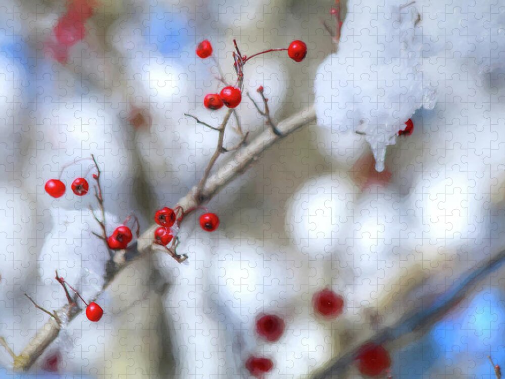 Holly Berry Jigsaw Puzzle featuring the photograph Holly Berries In Snow by Carol Montoya