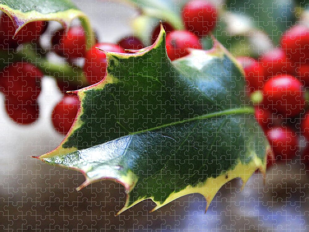 Holly Jigsaw Puzzle featuring the photograph Holly Berries- Photograph by Linda Woods by Linda Woods