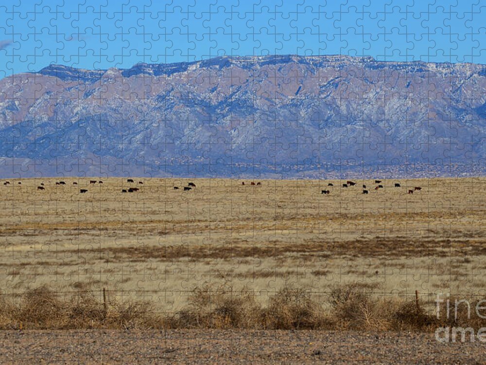 Southwest Landscape Jigsaw Puzzle featuring the photograph Home on the range by Robert WK Clark
