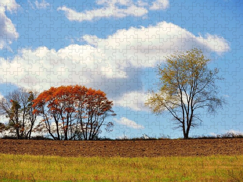Art Jigsaw Puzzle featuring the photograph Autumn Horizon by JAMART Photography