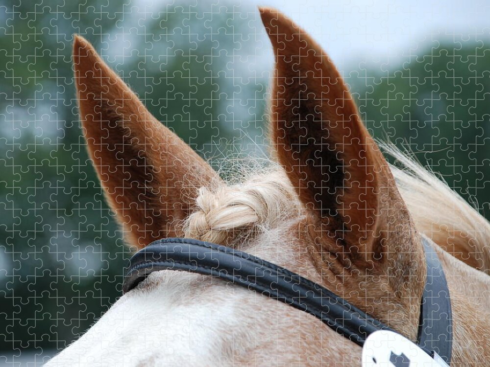 Horse Jigsaw Puzzle featuring the photograph Horse at Attention by Jennifer Ancker