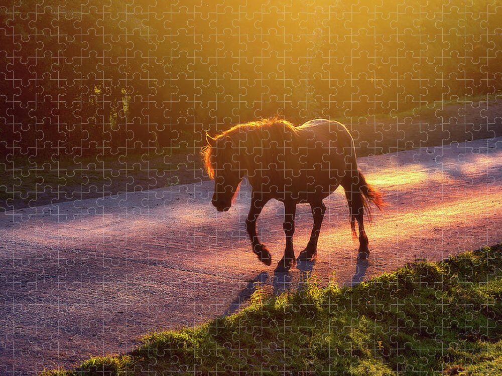 Horse Jigsaw Puzzle featuring the photograph Horse Crossing The Road At Sunset by Mikel Martinez de Osaba