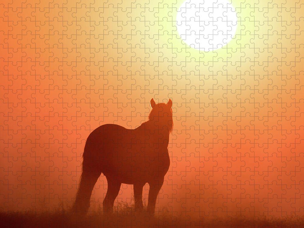 Silhouette Jigsaw Puzzle featuring the photograph Horse Silhouette by Wesley Aston