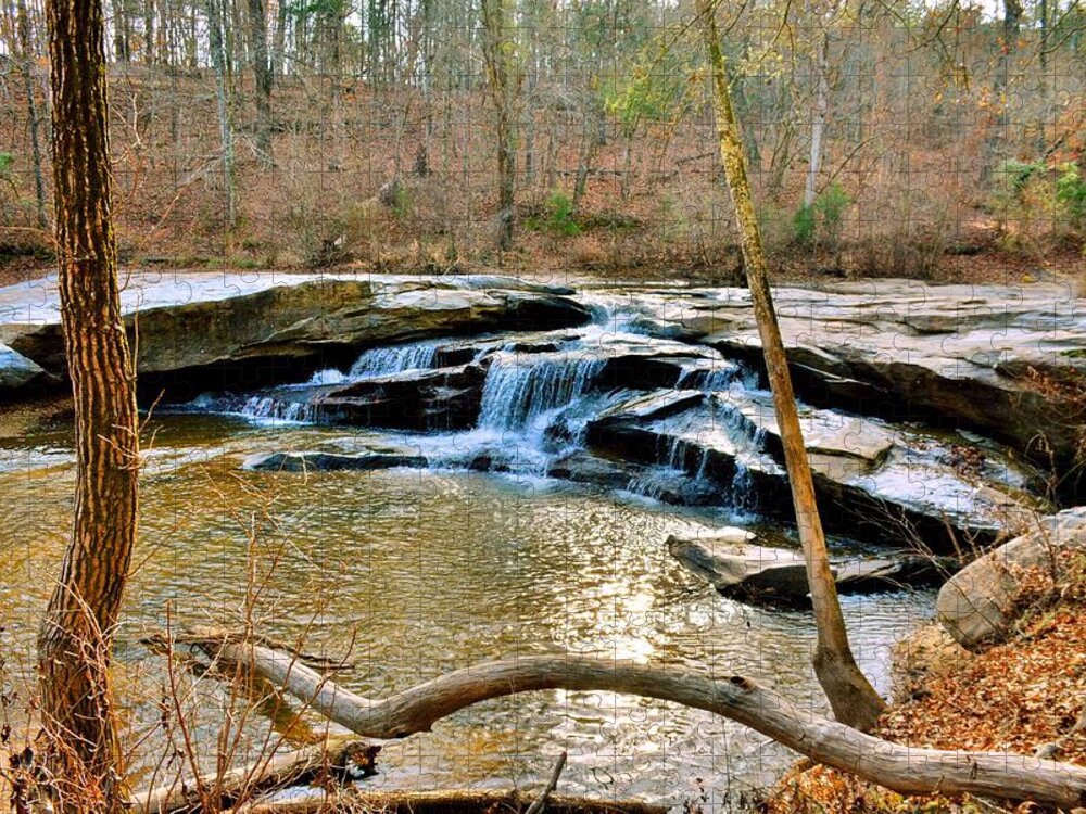 Horseshoe Falls At Musgrove Mill Historic Site Clinton Sc Jigsaw Puzzle featuring the photograph Horseshoe Falls At Musgrove Mill Historic Site Clinton SC by Lisa Wooten