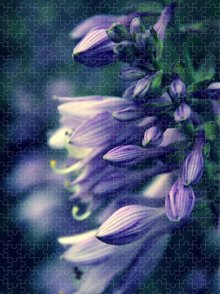 Hosta Flower Jigsaw Puzzle featuring the photograph Hosta Petals #1 by Jessica Jenney